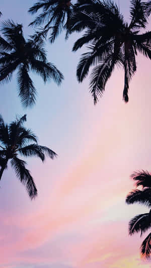 Captivating Tropical Scene For Iphone Wallpaper