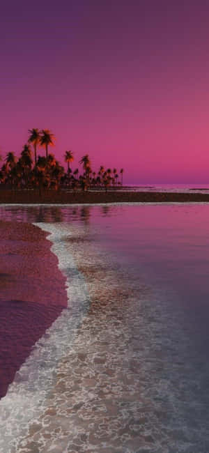 Capture The Magic Of A Sunset Beach Wallpaper