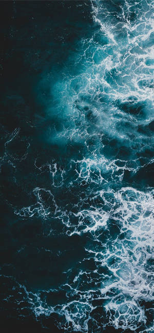 Capture The Paradise Of The Ocean In The Palm Of Your Hand With The Iphone 11 Wallpaper