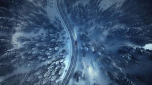 Capturing The Beauty Of Winter In A Forest Wallpaper