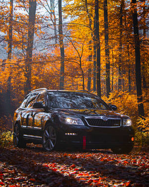 Car In Slovakia's Forest Wallpaper