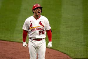 Cardinals Player Celebration Moment Wallpaper