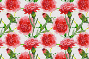 Carnations Watercolor Painting Wallpaper