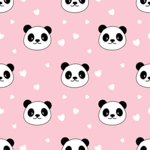 Cartoon Animal Panda Wallpaper