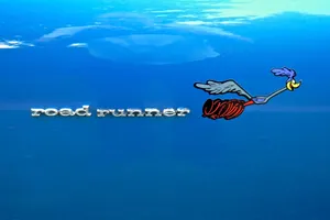 Cartoon Character Road Runner Wallpaper