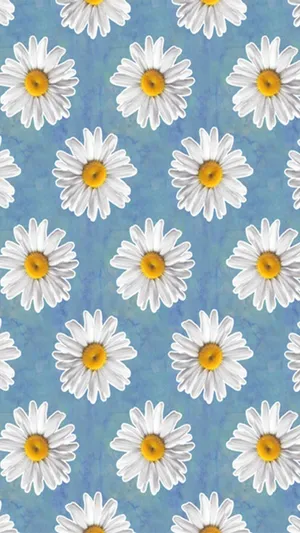 Cartoon Daisy Aesthetic Blue Wallpaper