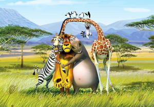 Cartoons In Madagascar: Escape 2 Africa Wallpaper