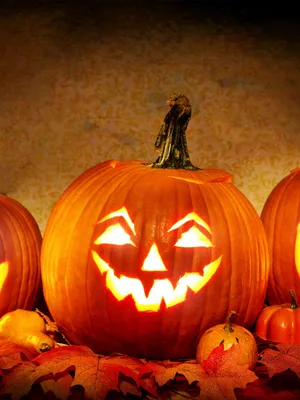 Carved Pumpkin Smiling Wallpaper