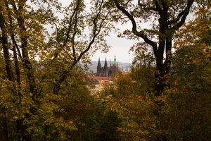 Castle, Architecture, City, Forest Wallpaper