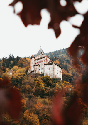 Castle, Architecture, Hill, Forest Wallpaper