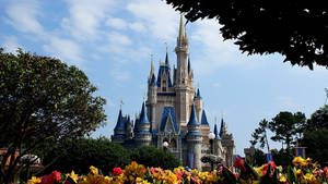 Castle At Walt Disney World Desktop Wallpaper