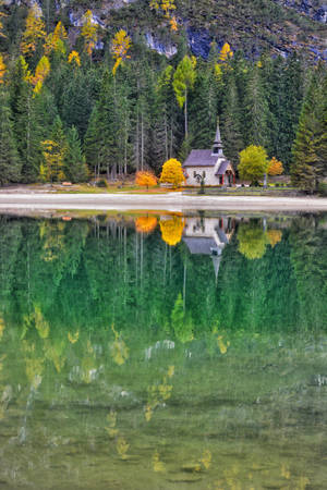Castle, Autumn, Trees, Reflection Wallpaper