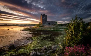 Castle, Building, Coast, Water Wallpaper