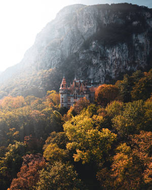 Castle, Trees, Rocks Wallpaper