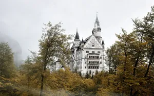 Castle, Trees, Sky, Mist Wallpaper