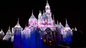 Castle With Christmas Lights Walt Disney World Desktop Wallpaper