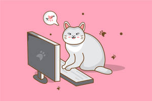 Cat Computer Keyboard Art Wallpaper