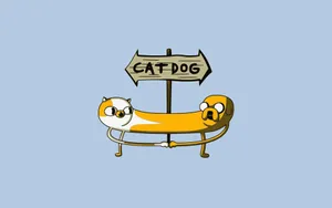 Cat Dog Digital Art Wallpaper