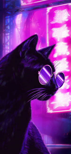 Cat With Glasses Neon Purple Iphone Wallpaper