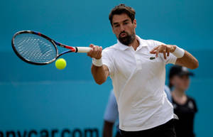 Catching Ball Jeremy Chardy Wallpaper