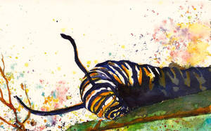 Caterpillar Insect Painting Wallpaper
