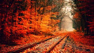 Celebrate Autumn With This Stunning Orange, Yellow And Red Fall Aesthetic Desktop Wallpaper Wallpaper