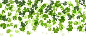 Celebrate St. Patrick's Day With A Shamrock Wallpaper