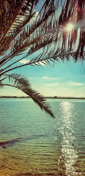 Celebrate The Beauty Of Summer In California Wallpaper