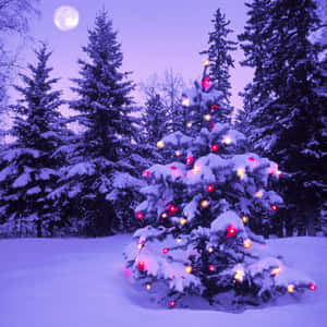 Celebrate The Holidays With A Simple Christmas Ipad Wallpaper