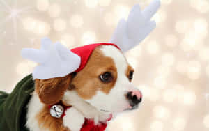 Celebrate The Holidays With Your Pup! Wallpaper