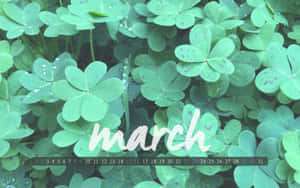 Celebrate The Start Of Spring With This Cute March Wallpaper! Wallpaper