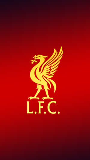 Celebrate The Success Of Epl Club Liverpool Fc With This Unique Liverpool Fc-themed Iphone 11. Wallpaper