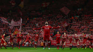 Celebrating Liverpool Fc Desktop Wallpaper