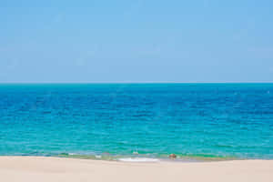 Celebrating The End Of Summer Wallpaper