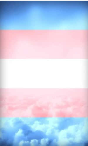 Celebratory Trans Flag Wallpaper