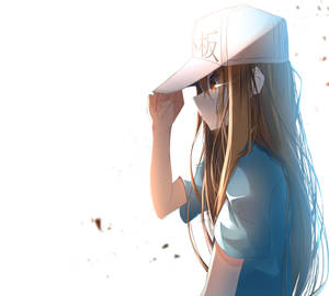 Cells At Work Platelet Side View Wallpaper