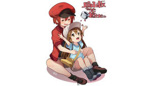 Cells At Work Rbc And Platelet Wallpaper