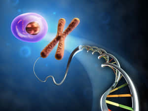 Cellular Genetic Structures Illustration Wallpaper