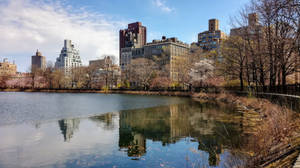 Central Park Lake Landscape Wallpaper