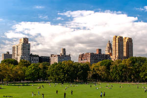 Central Park Landscape Wallpaper