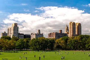 Central Park Landscape Wallpaper