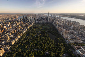 Central Park Surrounded By Buildings In New York Wallpaper