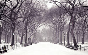 Central Park Winter Desktop Wallpaper