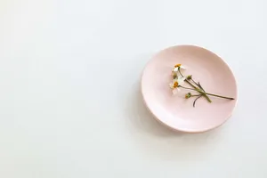 Chamomile Flower In Pastel Pink Aesthetic Plate Wallpaper