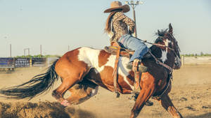 Champion Barrel Racer In Action Wallpaper