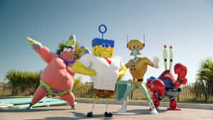 Characters Of Nickelodeon's Spongebob Series Wallpaper