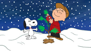 Charlie Brown And Snoopy Small Christmas Tree Wallpaper