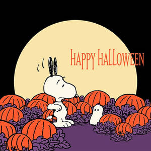 Charlie Brown Halloween Snoopy Vector Art Wallpaper