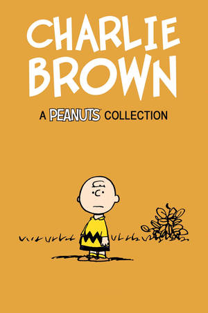Charlie Brown Peanuts Collection Wallpaper
