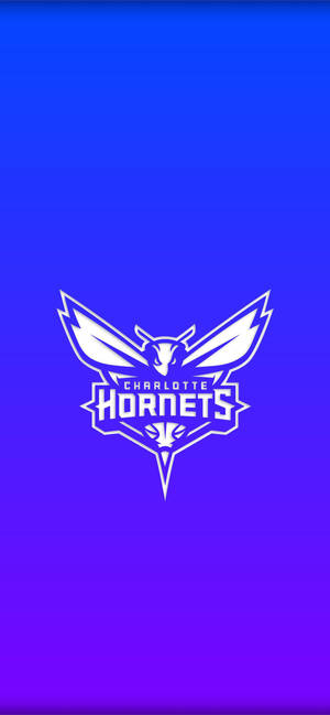 Charlotte Hornets Gradient Blue Wallpaper
